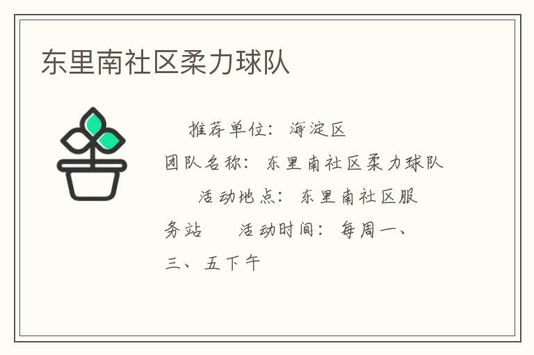 東里南社區(qū)柔力球隊
