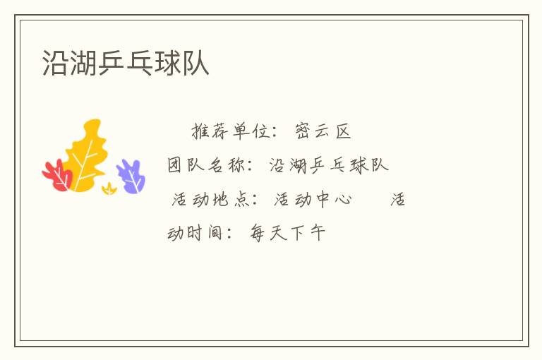 沿湖乒乓球隊