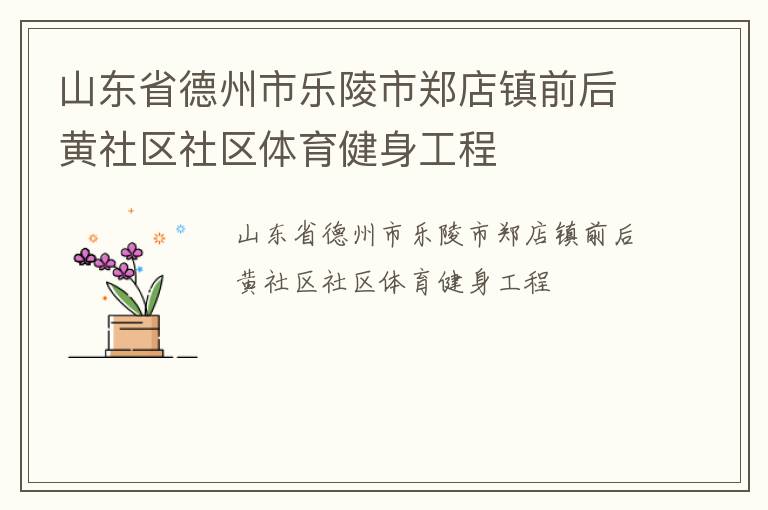 山東省德州市樂(lè)陵市鄭店鎮(zhèn)前后黃社區(qū)社區(qū)體育健身工程