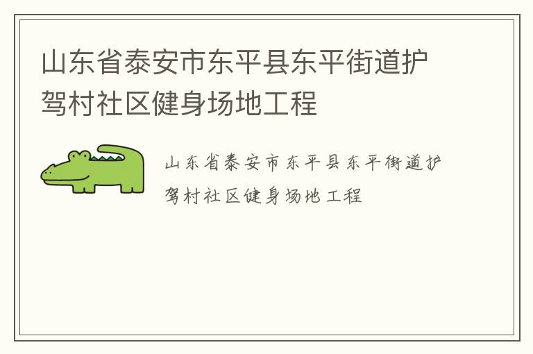 山東省泰安市東平縣東平街道護(hù)駕村社區(qū)健身場(chǎng)地工程