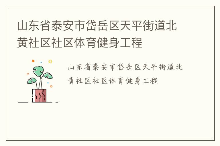 山東省泰安市岱岳區(qū)天平街道北黃社區(qū)社區(qū)體育健身工程
