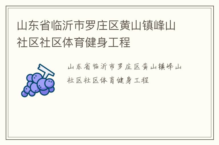 山東省臨沂市羅莊區(qū)黃山鎮(zhèn)峰山社區(qū)社區(qū)體育健身工程