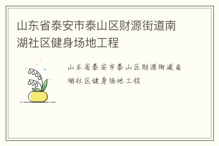山東省泰安市泰山區(qū)財(cái)源街道南湖社區(qū)健身場(chǎng)地工程