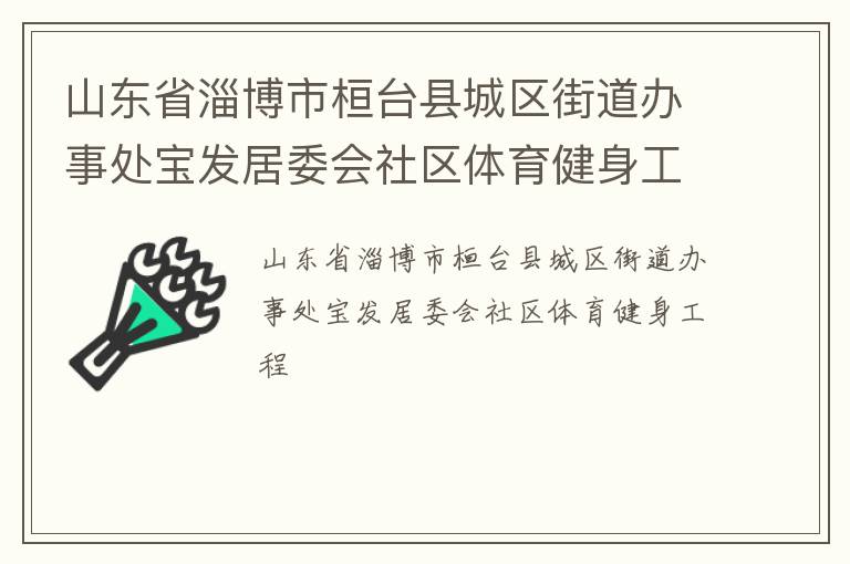 山東省淄博市桓臺(tái)縣城區(qū)街道辦事處寶發(fā)居委會(huì)社區(qū)體育健身工程