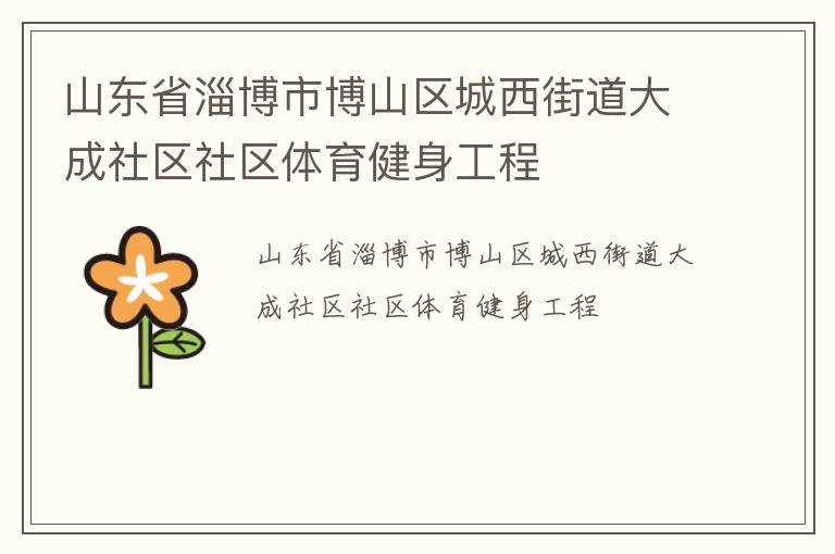 山東省淄博市博山區(qū)城西街道大成社區(qū)社區(qū)體育健身工程