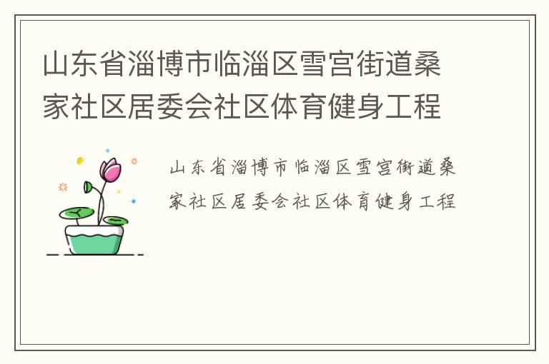 山東省淄博市臨淄區(qū)雪宮街道桑家社區(qū)居委會社區(qū)體育健身工程