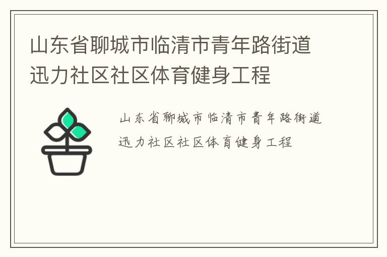 山東省聊城市臨清市青年路街道迅力社區(qū)社區(qū)體育健身工程