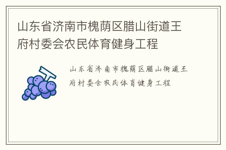 山東省濟南市槐蔭區(qū)臘山街道王府村委會農(nóng)民體育健身工程