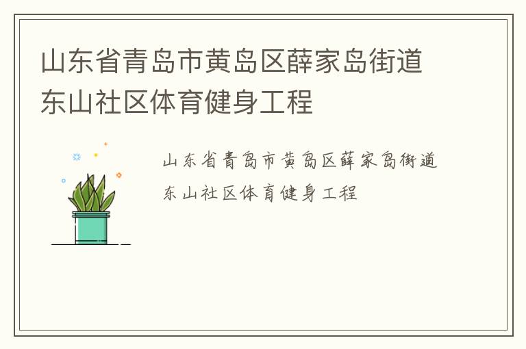 山東省青島市黃島區(qū)薛家島街道東山社區(qū)體育健身工程