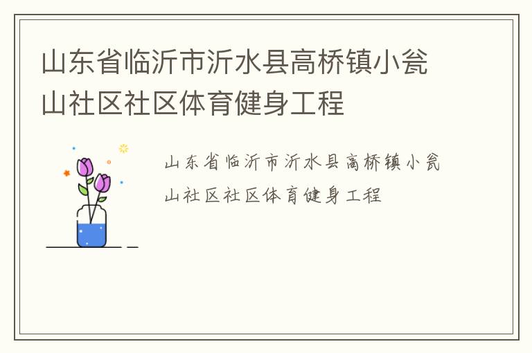 山東省臨沂市沂水縣高橋鎮(zhèn)小甕山社區(qū)社區(qū)體育健身工程