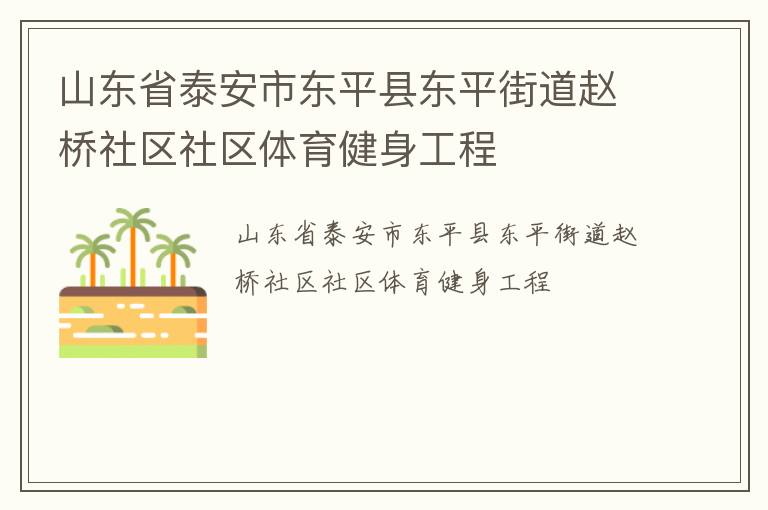 山東省泰安市東平縣東平街道趙橋社區(qū)社區(qū)體育健身工程