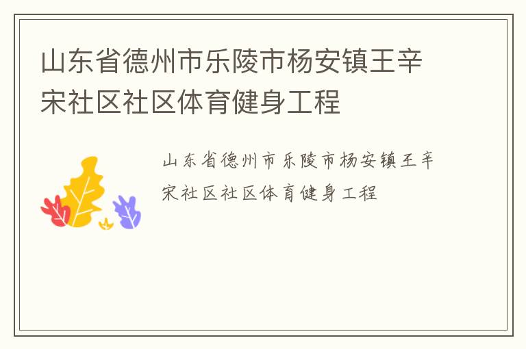 山東省德州市樂(lè)陵市楊安鎮(zhèn)王辛宋社區(qū)社區(qū)體育健身工程