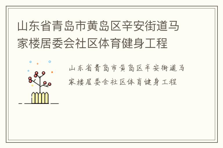 山東省青島市黃島區(qū)辛安街道馬家樓居委會(huì)社區(qū)體育健身工程