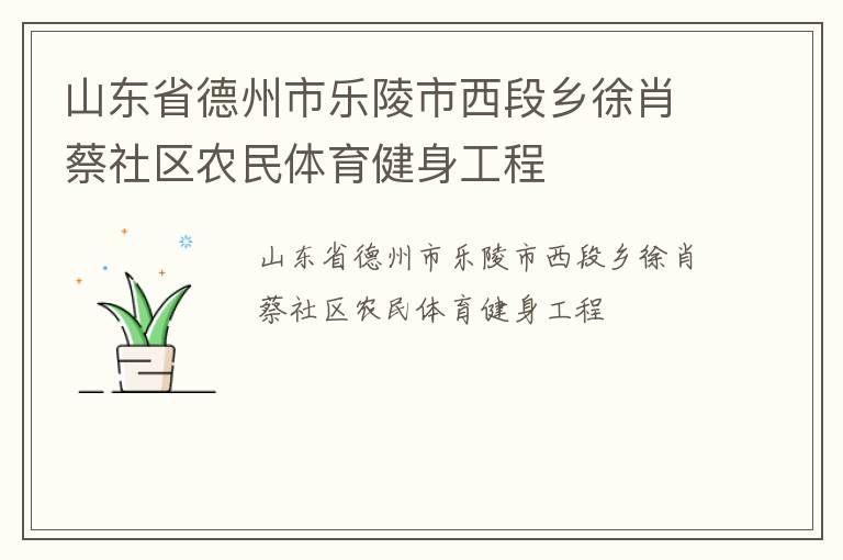 山東省德州市樂(lè)陵市西段鄉(xiāng)徐肖蔡社區(qū)農(nóng)民體育健身工程