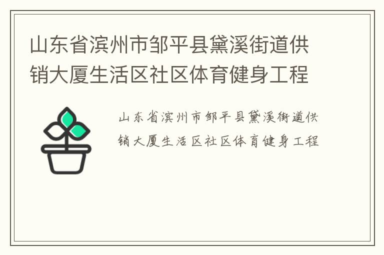 山東省濱州市鄒平縣黛溪街道供銷大廈生活區(qū)社區(qū)體育健身工程