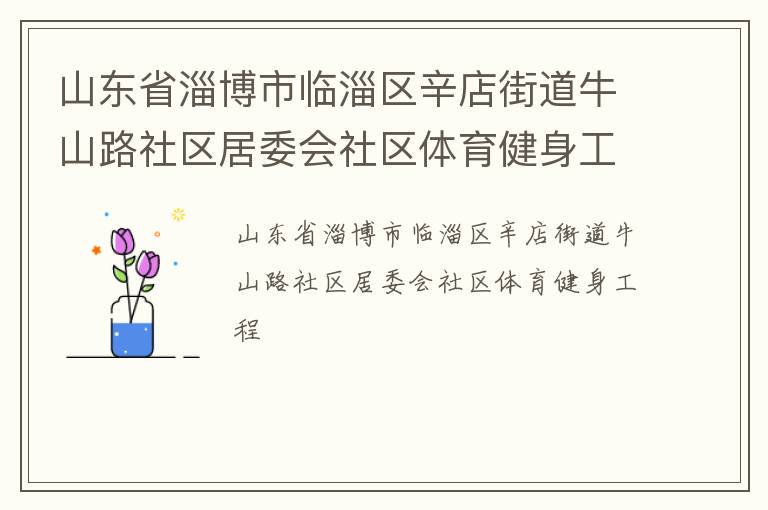 山東省淄博市臨淄區(qū)辛店街道牛山路社區(qū)居委會(huì)社區(qū)體育健身工程