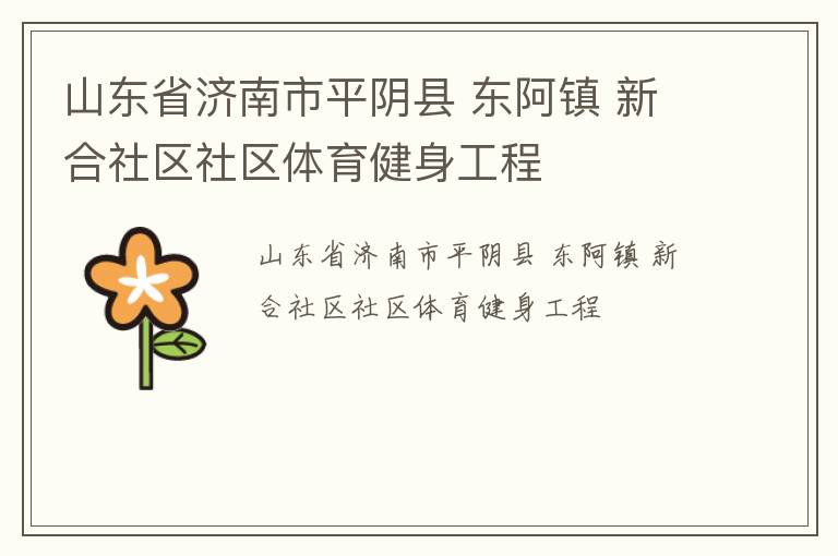 山東省濟南市平陰縣 東阿鎮(zhèn) 新合社區(qū)社區(qū)體育健身工程