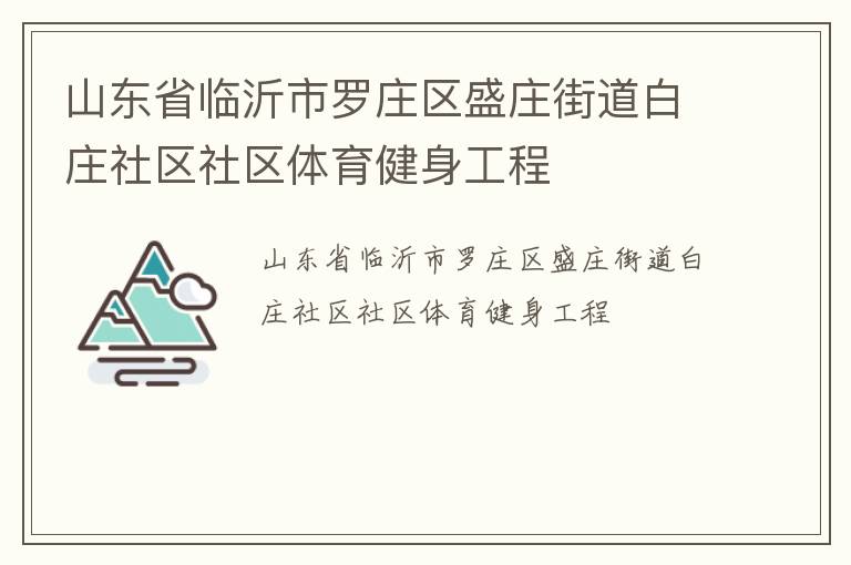 山東省臨沂市羅莊區(qū)盛莊街道白莊社區(qū)社區(qū)體育健身工程