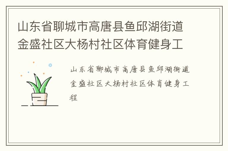 山東省聊城市高唐縣魚邱湖街道金盛社區(qū)大楊村社區(qū)體育健身工程