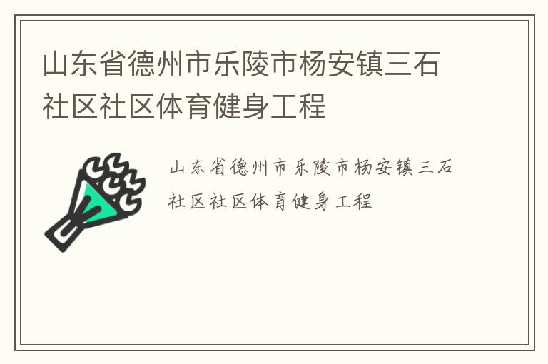 山東省德州市樂陵市楊安鎮(zhèn)三石社區(qū)社區(qū)體育健身工程