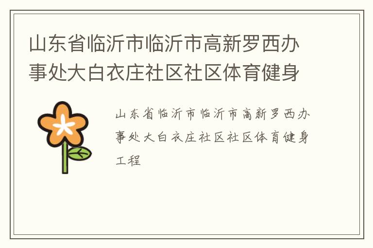 山東省臨沂市臨沂市高新羅西辦事處大白衣莊社區(qū)社區(qū)體育健身工程