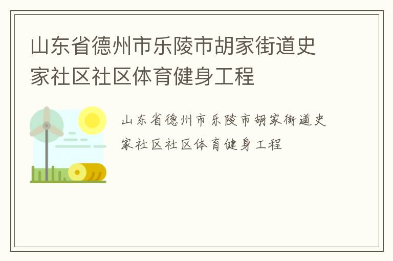 山東省德州市樂(lè)陵市胡家街道史家社區(qū)社區(qū)體育健身工程