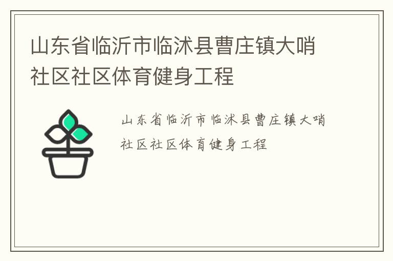 山東省臨沂市臨沭縣曹莊鎮(zhèn)大哨社區(qū)社區(qū)體育健身工程
