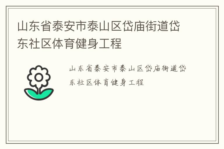 山東省泰安市泰山區(qū)岱廟街道岱東社區(qū)體育健身工程