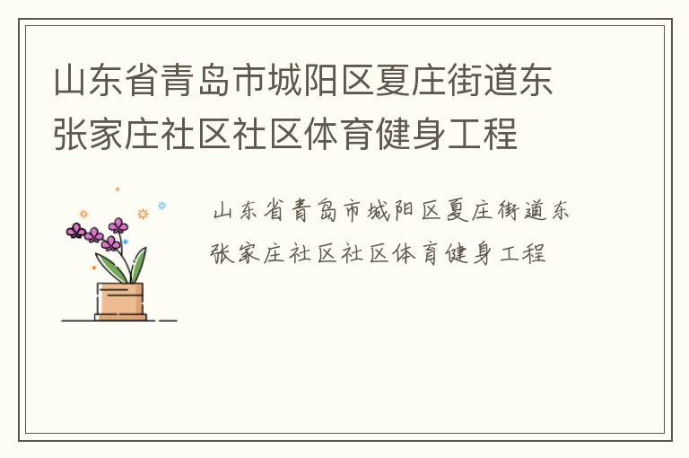山東省青島市城陽(yáng)區(qū)夏莊街道東張家莊社區(qū)社區(qū)體育健身工程