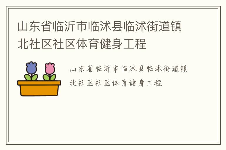 山東省臨沂市臨沭縣臨沭街道鎮(zhèn)北社區(qū)社區(qū)體育健身工程