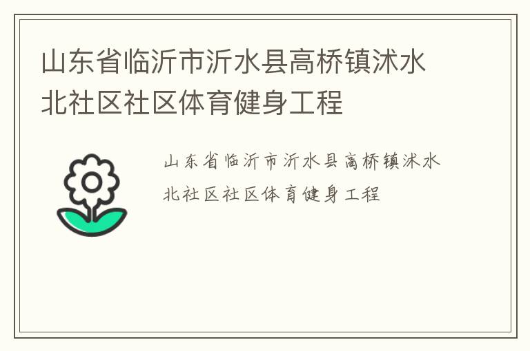 山東省臨沂市沂水縣高橋鎮(zhèn)沭水北社區(qū)社區(qū)體育健身工程