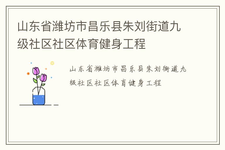 山東省濰坊市昌樂縣朱劉街道九級社區(qū)社區(qū)體育健身工程
