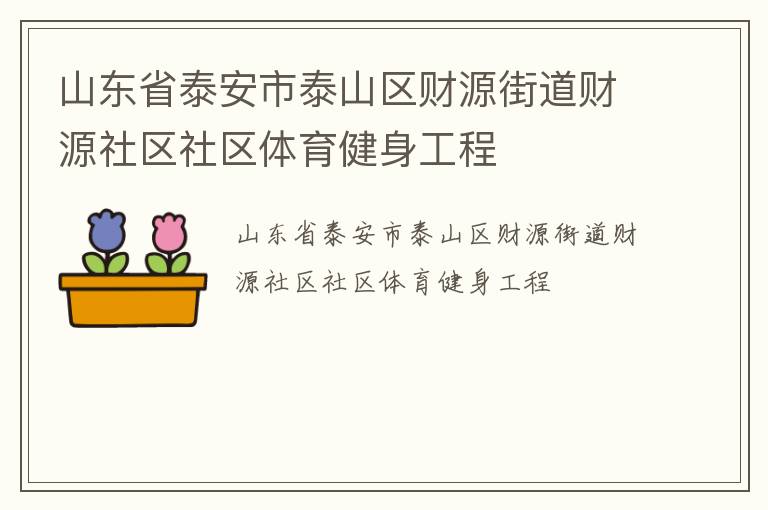 山東省泰安市泰山區(qū)財(cái)源街道財(cái)源社區(qū)社區(qū)體育健身工程