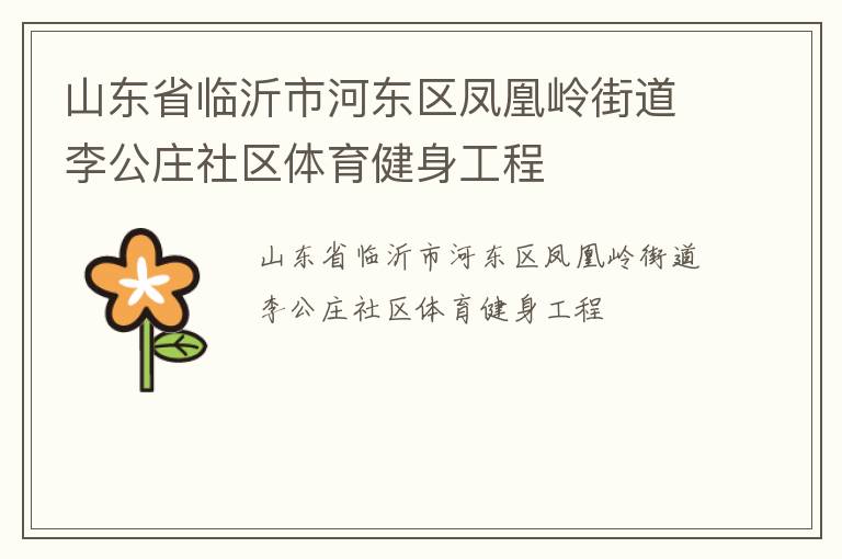 山東省臨沂市河東區(qū)鳳凰嶺街道李公莊社區(qū)體育健身工程