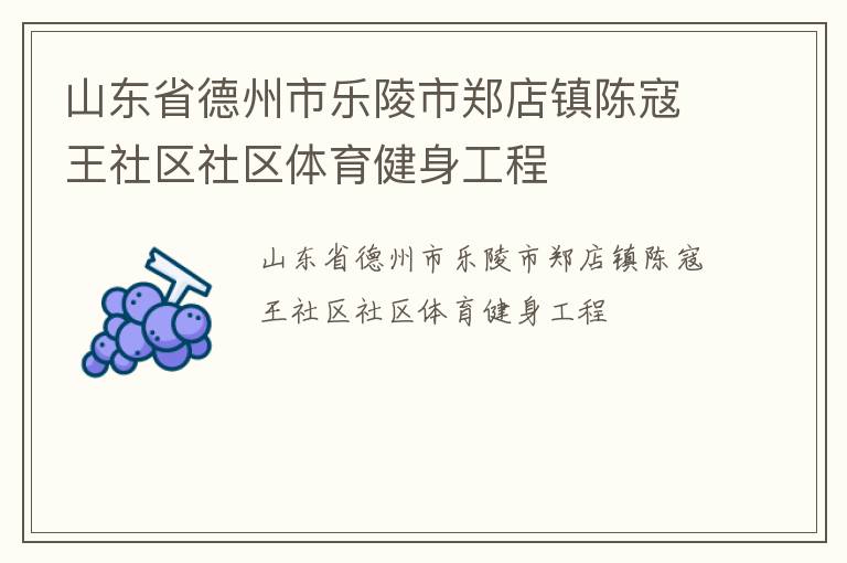 山東省德州市樂(lè)陵市鄭店鎮(zhèn)陳寇王社區(qū)社區(qū)體育健身工程