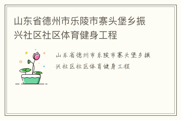 山東省德州市樂(lè)陵市寨頭堡鄉(xiāng)振興社區(qū)社區(qū)體育健身工程