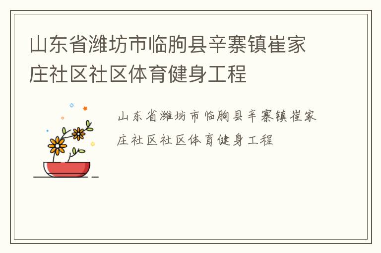 山東省濰坊市臨朐縣辛寨鎮(zhèn)崔家莊社區(qū)社區(qū)體育健身工程