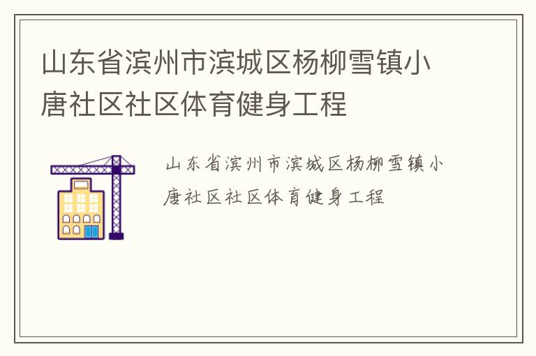 山東省濱州市濱城區(qū)楊柳雪鎮(zhèn)小唐社區(qū)社區(qū)體育健身工程