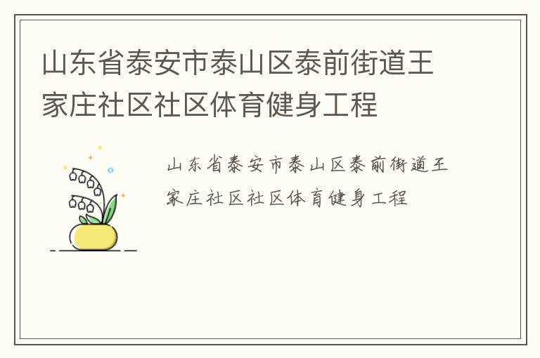 山東省泰安市泰山區(qū)泰前街道王家莊社區(qū)社區(qū)體育健身工程