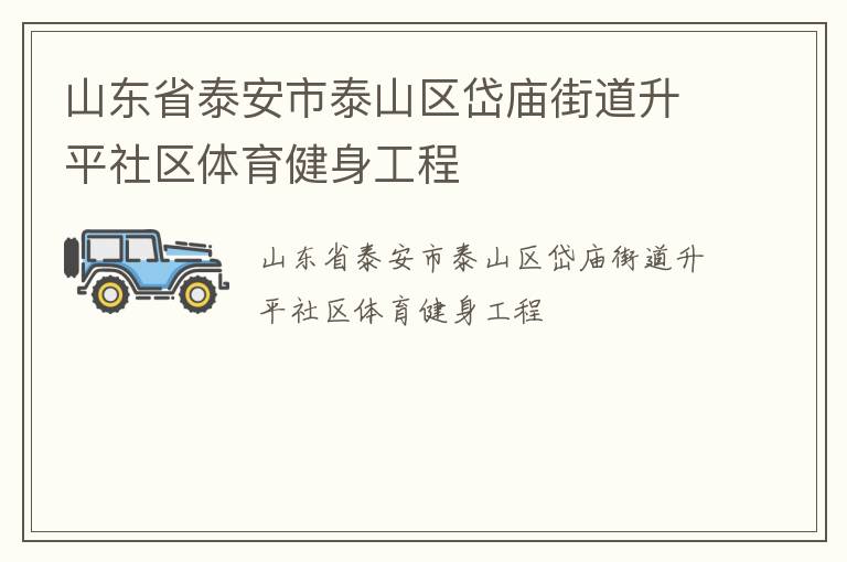山東省泰安市泰山區(qū)岱廟街道升平社區(qū)體育健身工程