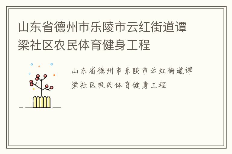 山東省德州市樂陵市云紅街道譚梁社區(qū)農民體育健身工程