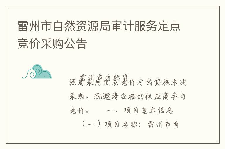 雷州市自然資源局審計服務定點競價采購公告
