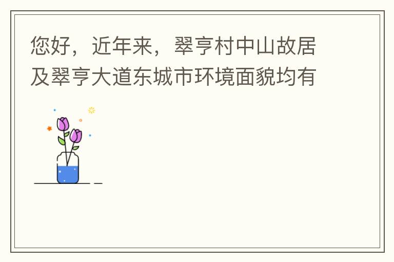 您好，近年來(lái)，翠亨村中山故居及翠亨大道東城市環(huán)境面貌均有所提升。但周邊環(huán)境仍然不夠理想，稍顯臟亂差，與5A風(fēng)景區(qū)的定位不相協(xié)調(diào)，望繼續(xù)盡快改善為宜。多謝