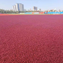 混合型塑膠跑道 環(huán)保塑膠跑道 操場塑膠跑道 塑膠跑道建設 塑膠跑道價格