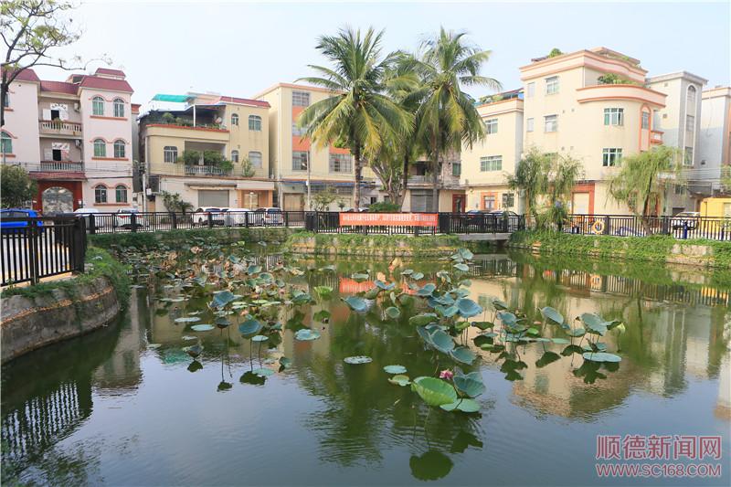 容桂南區(qū)社區(qū)持續(xù)提升人居環(huán)境，社區(qū)面貌展新顏