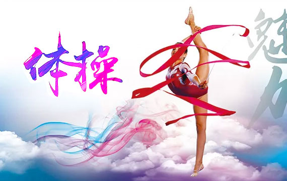北京市第十五屆運(yùn)動(dòng)會(huì)體操比賽