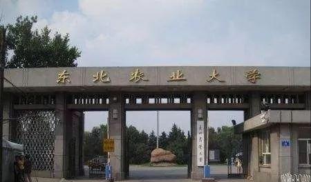 兩校合并，黑龍江將迎來(lái)一所新大學(xué)？教育廳有明確回復(fù)，值得期待