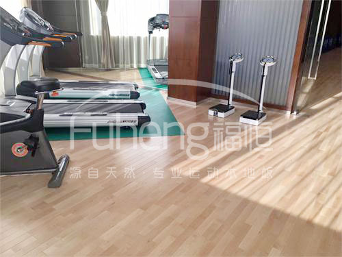 <a href=http://017771.cn target=_blank class=infotextkey>健身</a>房木地板-10fd