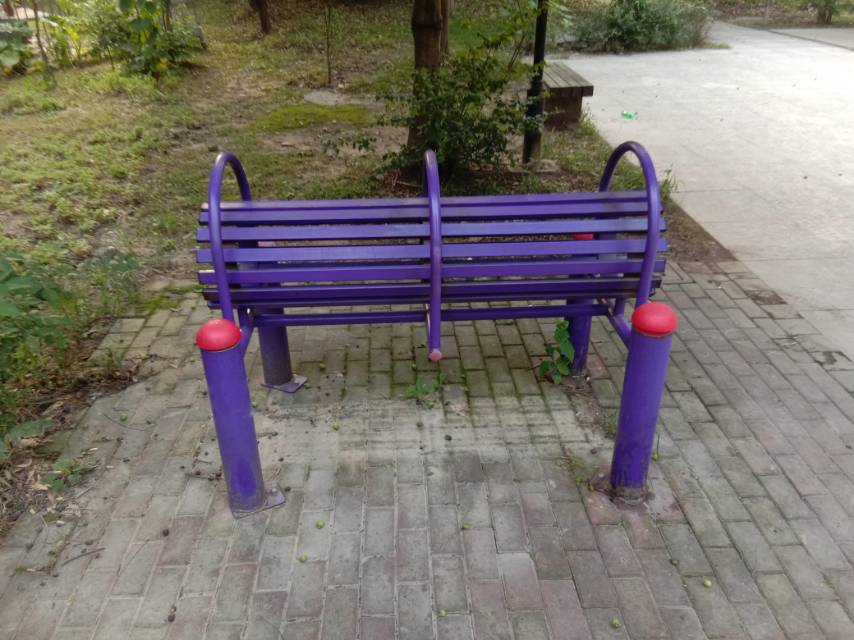 伸背器