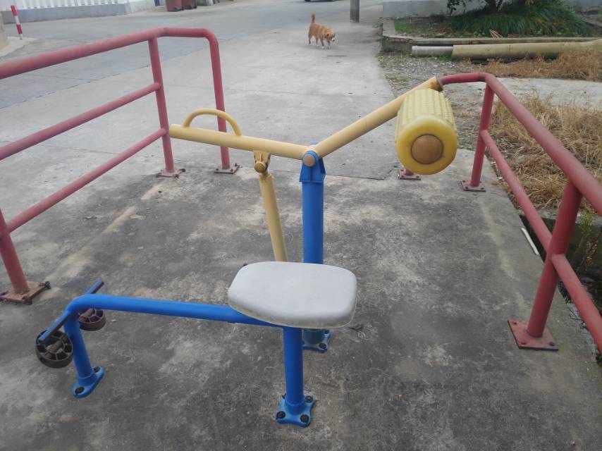 腹背鍛煉器